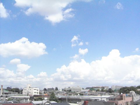 blue sky1.jpg